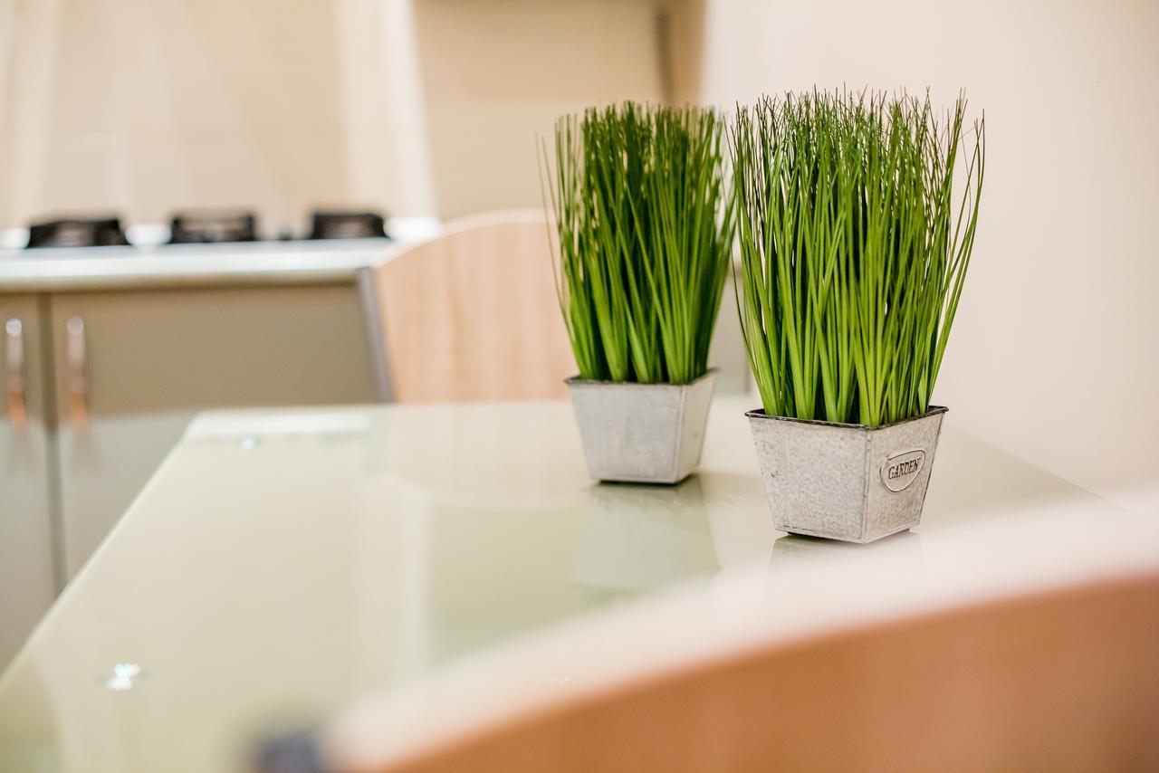 Apartament Alfa Kostyushka 5